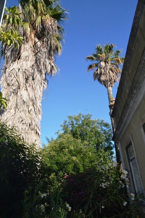 Lisbon Budget Inn Ngoại thất bức ảnh
